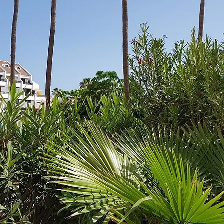 Apartman Atlantic Las Americas *